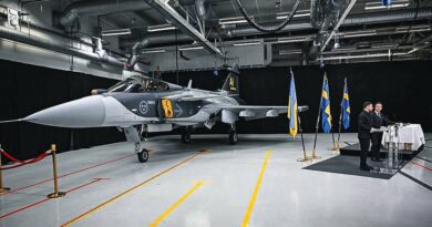 Gripen și ritmul deciziilor – o poliță de asigurare pentru Europa