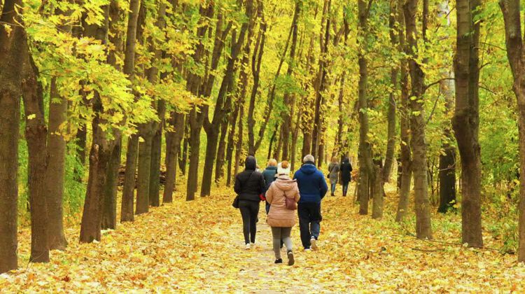 Vreme plăcută de toamnă pe 29 octombrie în Republica Moldova