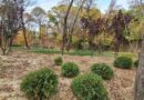 Un nou episod de vreme caldă cu temperaturi de până la 22 de grade