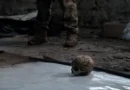 Armata rusă sub presiune: recruții cedează psihic și resursele se epuizează
