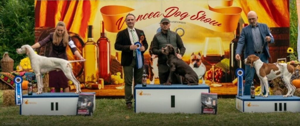 Spectacol canin în Moldova: câinii României au strălucit la „Vrancea Dog Show”