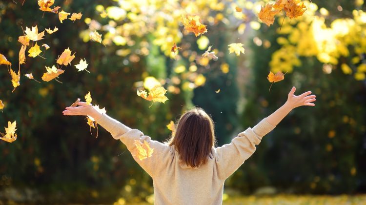 Vreme frumoasă în ultima zi de octombrie