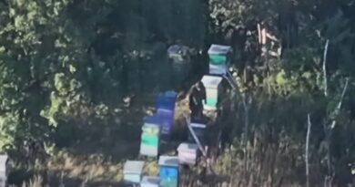 Soldați ucraineni au eliminat un ocupant rus într-o stupină