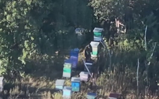 Soldați ucraineni au eliminat un ocupant rus într-o stupină