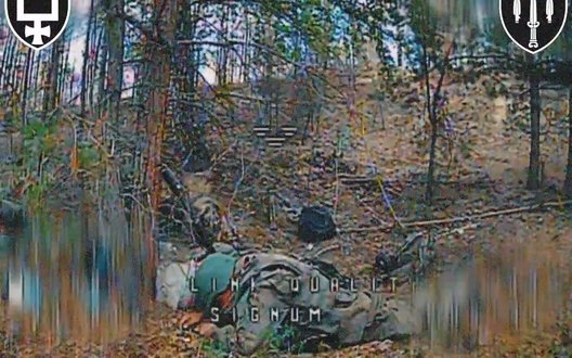 Operatorii de drone ai batalionului SIGNUM au eliminat un ocupant