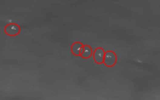 Dronă „Vampire” distruge patru ocupanți cu mine de 82 mm