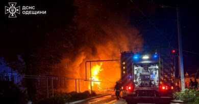 Atacuri rusești lângă porturile ucrainene de la Dunăre