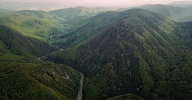 Legea privind ariile naturale protejate, contestată de Nicușor Dan la Curtea Constituțională