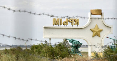 Tăierea arborilor valoroși în Crimeea sub pretextul plantării de vii