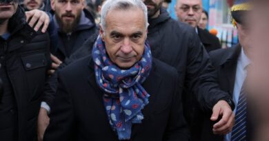 Călin Georgescu ar fi fost extras din țară printr-o angajare fictivă