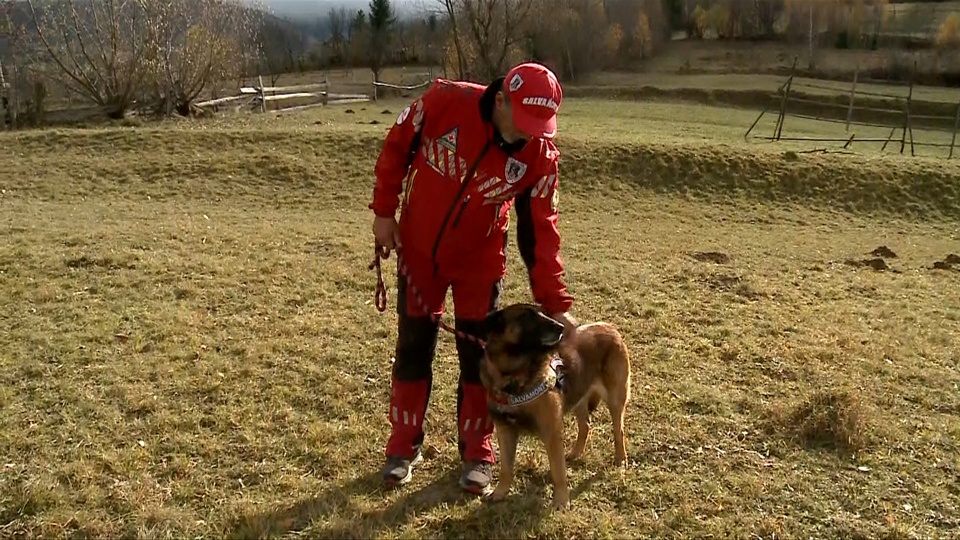 Athos, câinele erou al salvamontiștilor din Munții Maramureșului