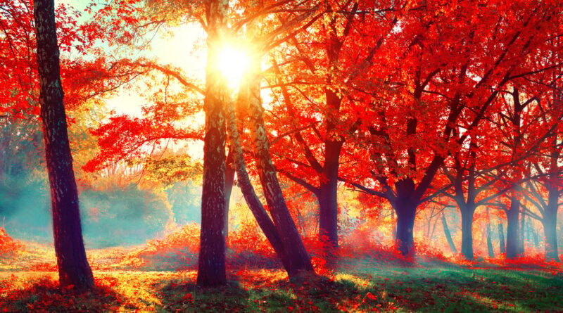 Vremea: temperaturi maxime de 13-15 grade în majoritatea regiunilor