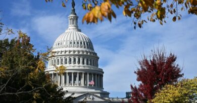 Parlamentari americani critică reducerea trupelor SUA din România