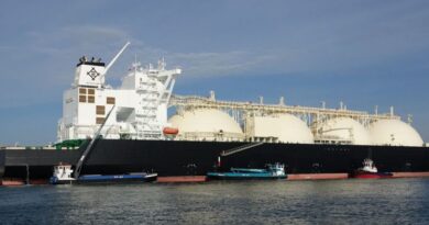 SUA exportă peste 10 milioane de tone de gaz natural lichefiat într-o lună