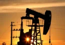 Statele OPEC+ suspendă creșterea producției de petrol în 2026