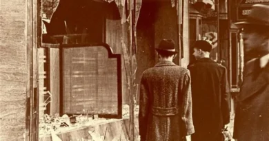 Când un partid devine sectă: lecția morală a zilei de 9 noiembrie