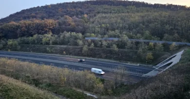 Tunelurile pentru urși pe autostrăzile din România