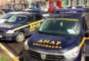 Fraudă de 55 de milioane de lei printr-un mecanism „suveică”