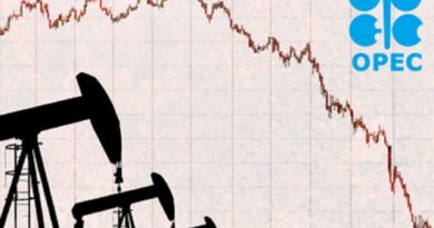 OPEC+ aprobă creșterea producției de petrol în decembrie