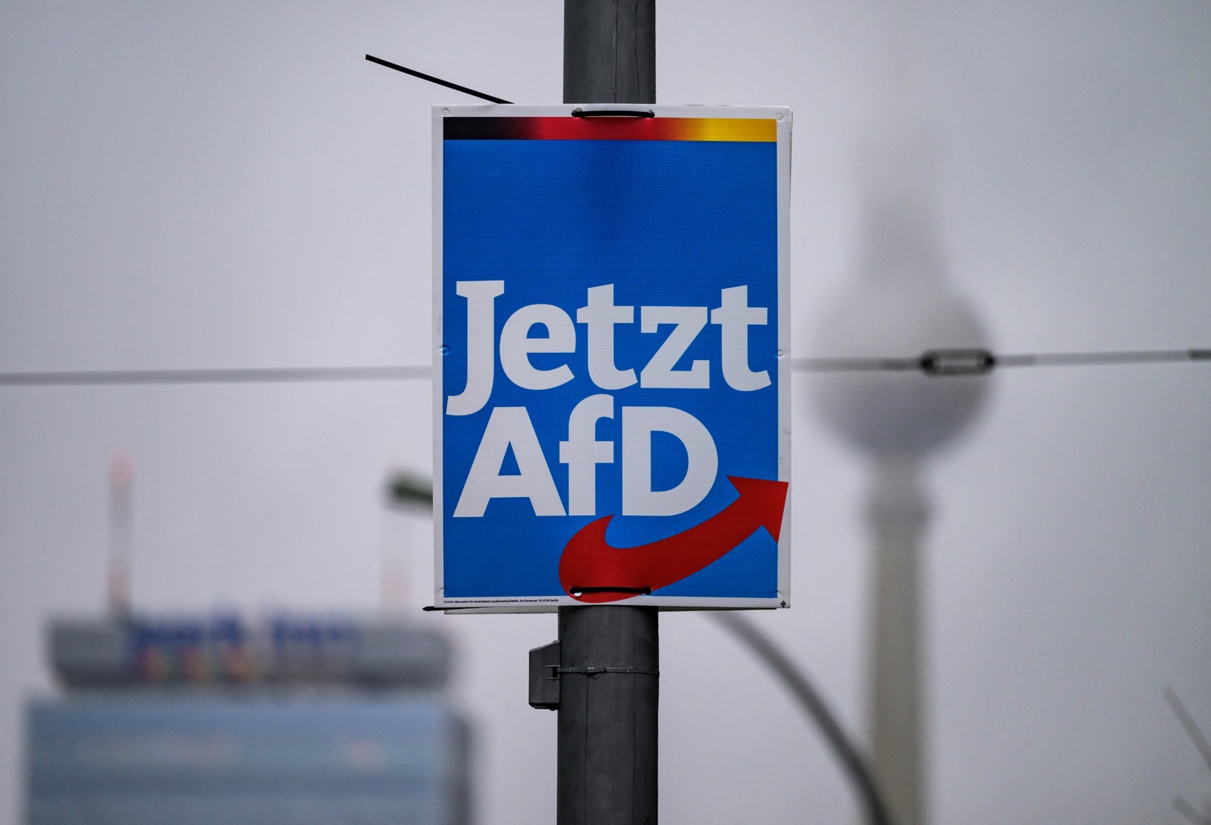 Partidul AfD din Germania trimite delegație în SUA pentru discuții