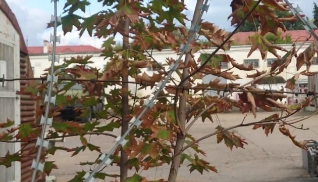 Partizanii investighează un centru logistic al flotei din Sevastopol