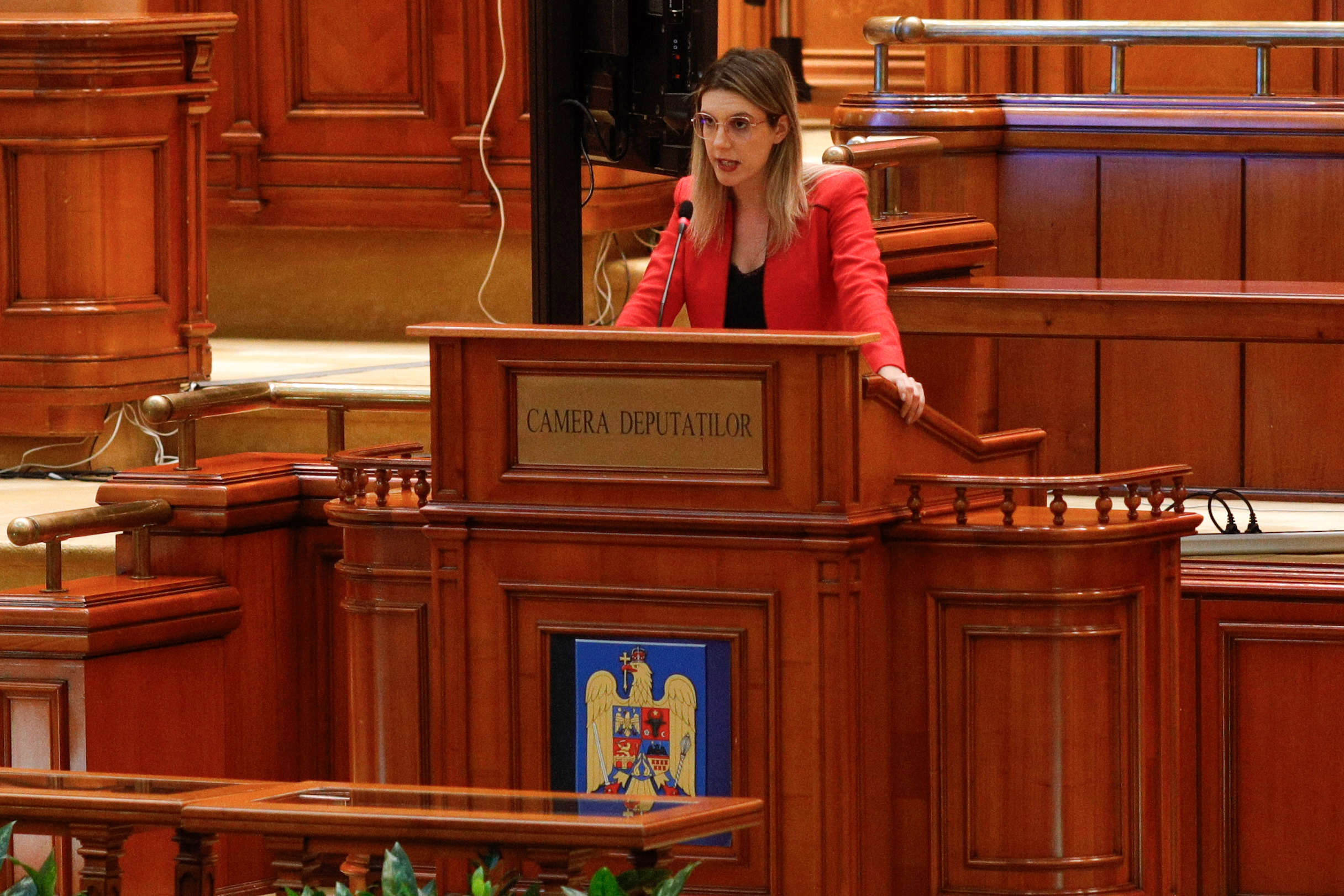 Diana Buzoianu chemată în Parlament pentru explicații despre Paltinu