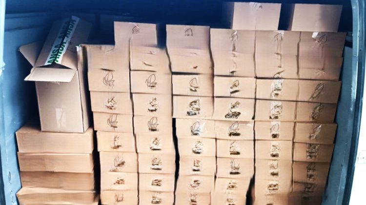 Peste 374 kg de ceai distruse din cauza pesticidelor