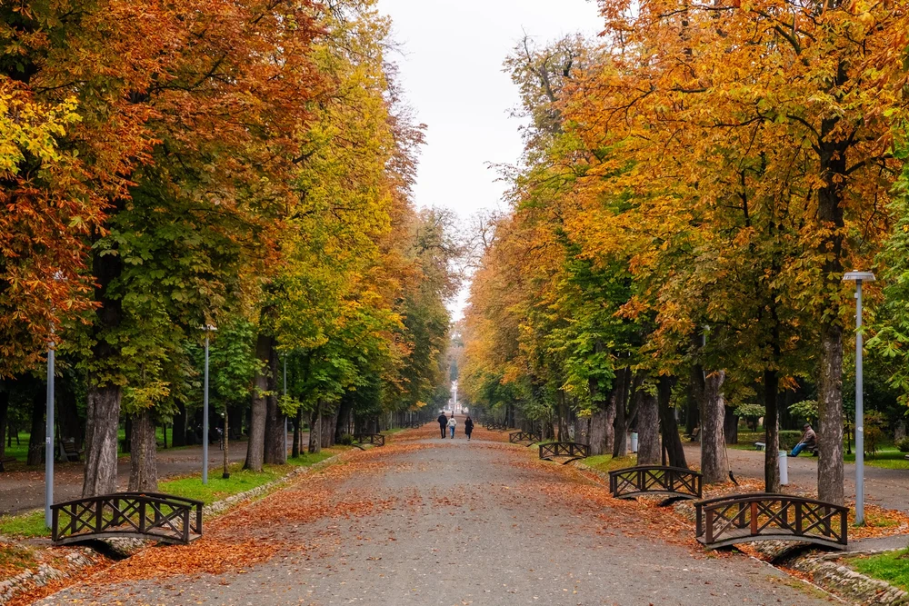 Vreme de toamnă până la Crăciun, ninsori posibile de Anul Nou