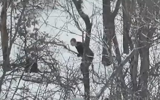 Un ocupant a dezvăluit ascunzătoarea invadatorilor