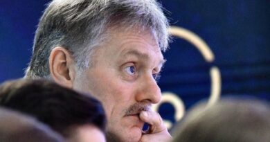 Peskov nu comentează despre presupusul armistițiu energetic cu Ucraina