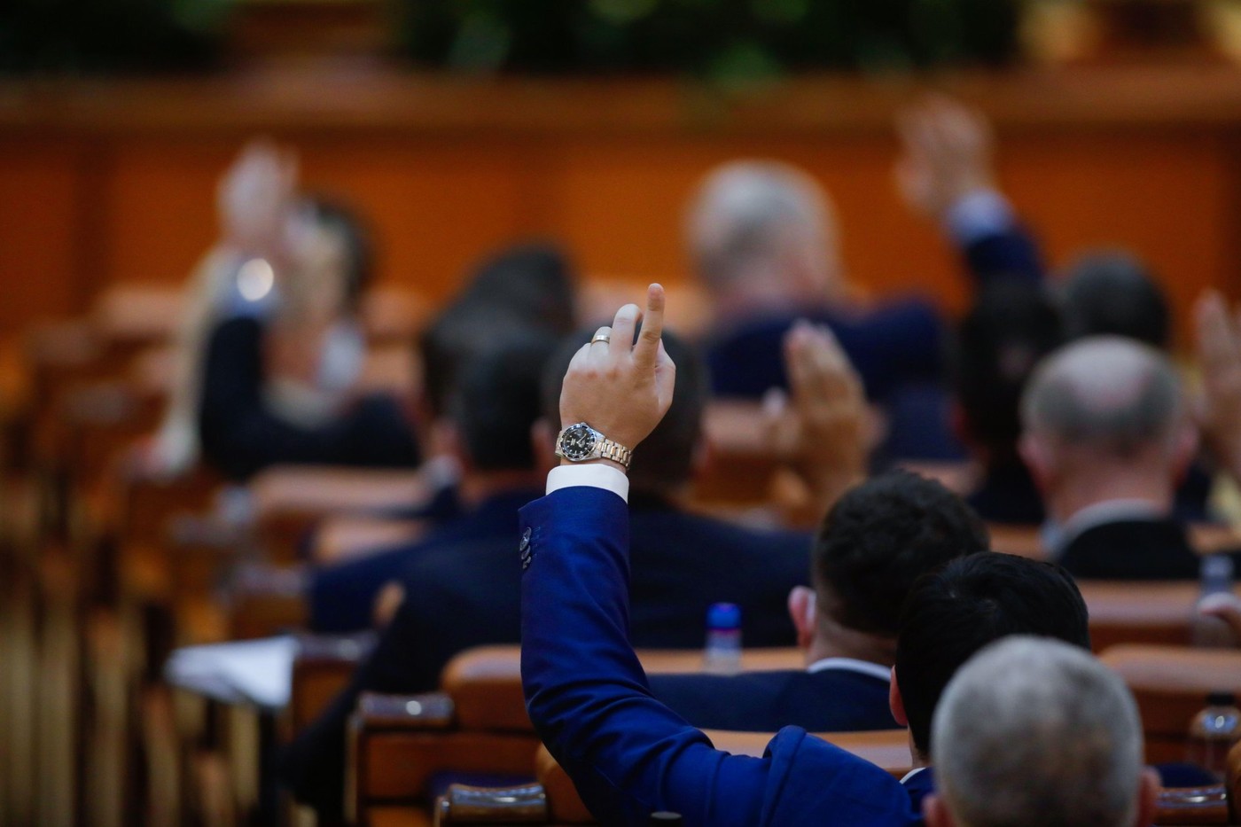 Parlamentarii au depus sute de legi, majoritatea fără finalitate