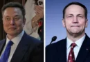 Elon Musk și ministrul polonez de externe în schimb de replici dure