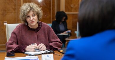 Gheorghiu: să ieșim din paradigma că nu ne vindem țara