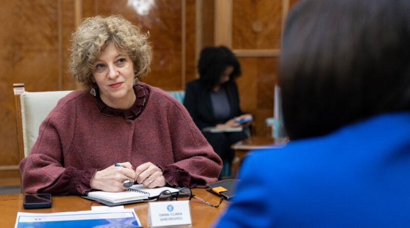 Gheorghiu: să ieșim din paradigma că nu ne vindem țara