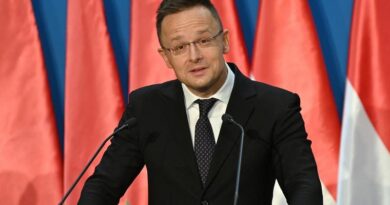 Ungaria contestă la CJUE interdicția importului de energie rusă în UE