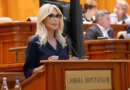 Raluca Turcan propune modificări la funcționarea CCR