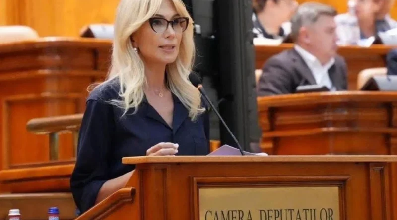 Raluca Turcan propune modificări la funcționarea CCR