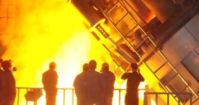 Prioritatea este energia mai ieftină pentru industrie, nu pentru populație