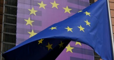 România vizează realizarea componentelor SAFE în țară