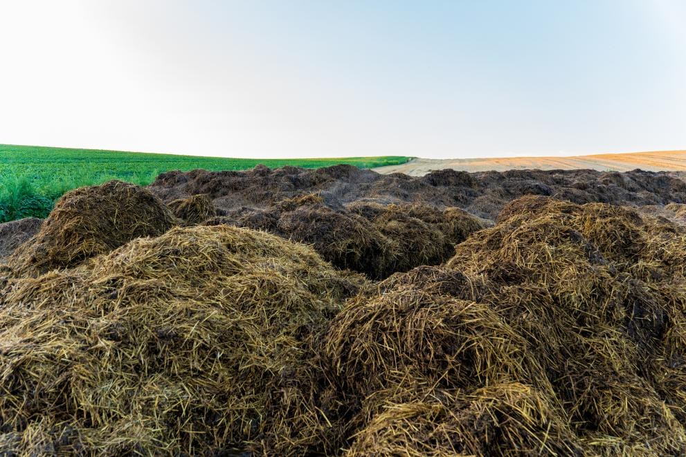 Grămadă de gunoi de grajd pe un teren agricol, în imaginea Comisiei Europene despre digestate.
