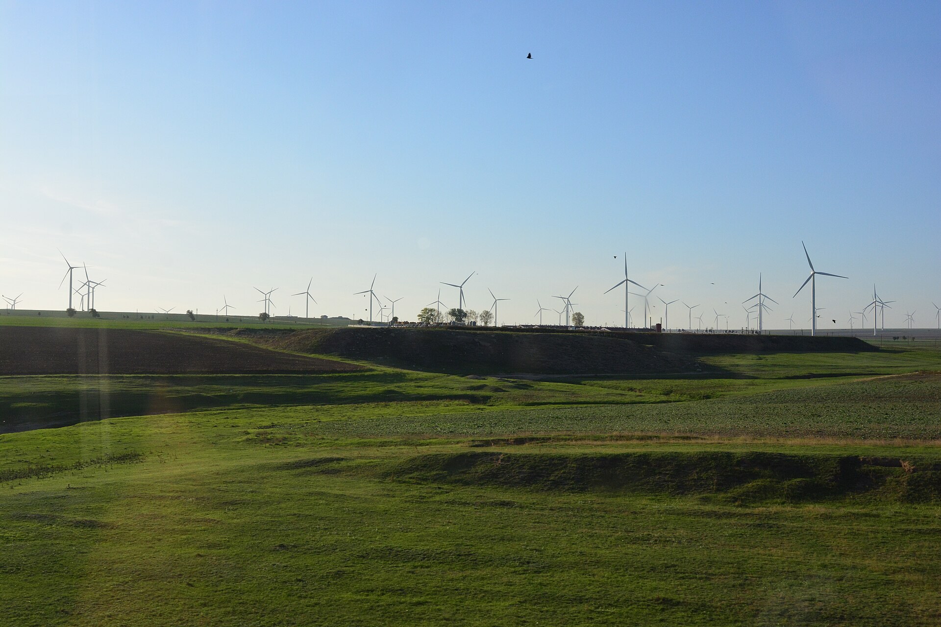 Turbinele parcului eolian Fântânele-Cogealac din județul Constanța, fotografiate în septembrie 2024